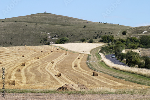 Harvested field near Avebury. Wiltshire. England photo