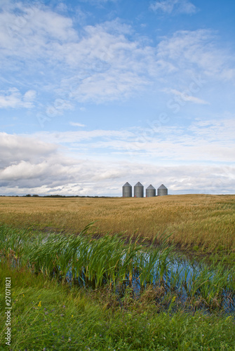 Four grain bins stand in the distance on a prairie field