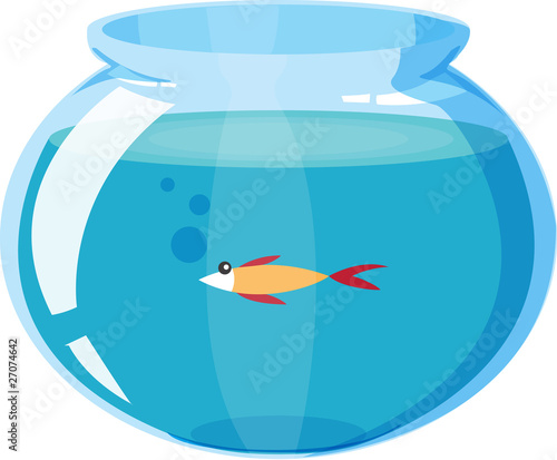 fish pond