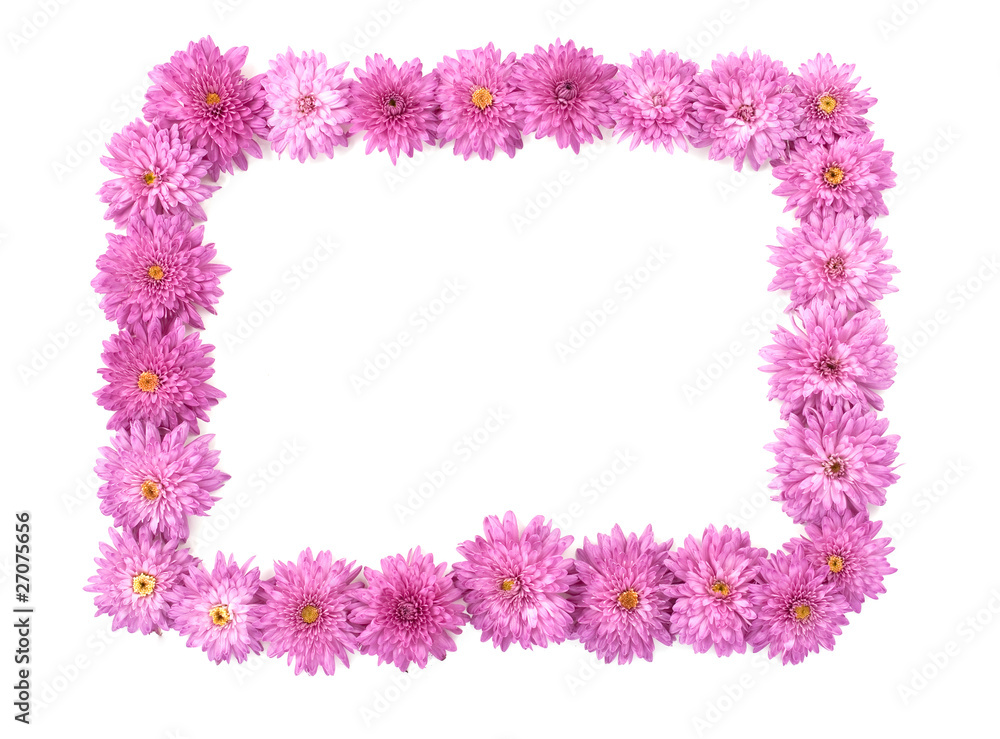 frame made of chrysanthemum flowers frame made of chrysanthemum flowers