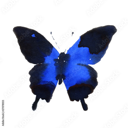 delicate blue butterfly