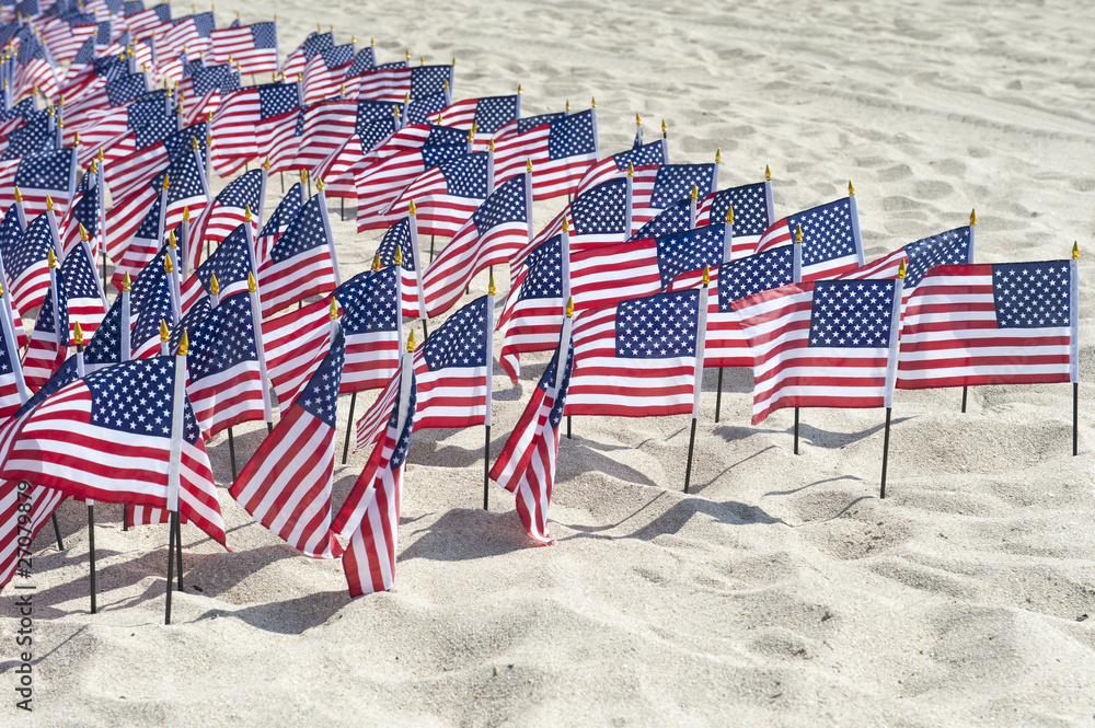 undefeated stars and stripes