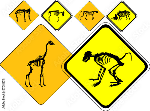 wild animals skeleton signs vector