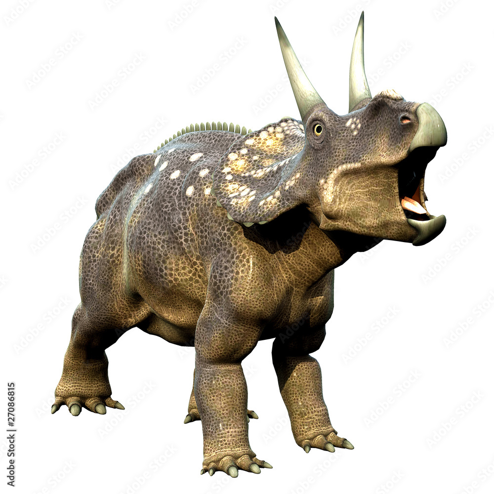 Fototapeta premium diceratops roar
