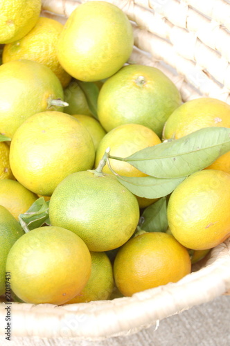 バスケットに入ったみかんと柚子