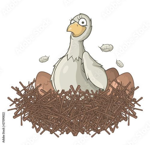 Bird in nest
