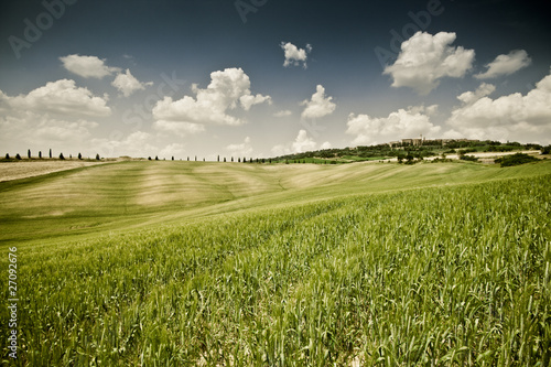 Typical Tuscan landscape photo