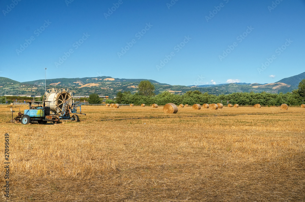 Fototapeta premium Panoramic view of Assisi. Umbria.