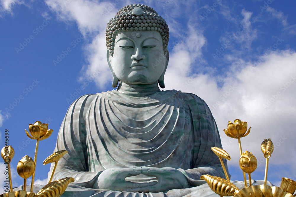 Obraz premium Buddha 5