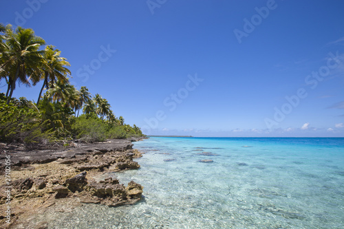 Reef and palm tree on blue lagoon