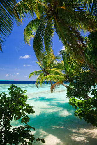 Tropical Paradise at Maldives #27107083