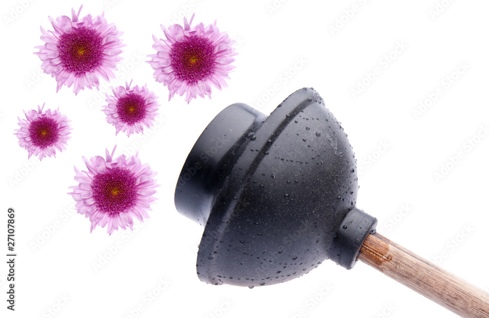 Wet Plunger with Flowers Wet Plunger with Flowers