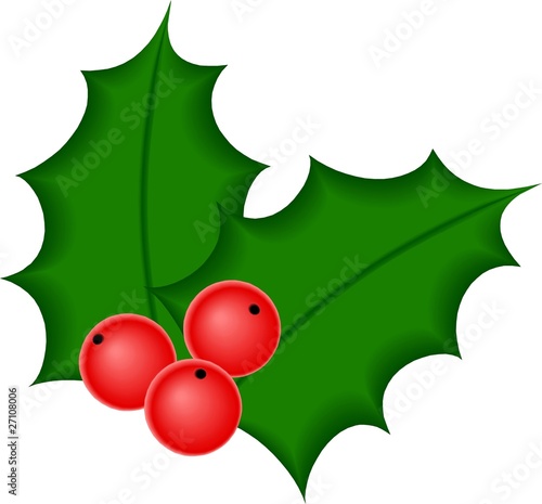 Holy Twig with Ripe Red Berries.