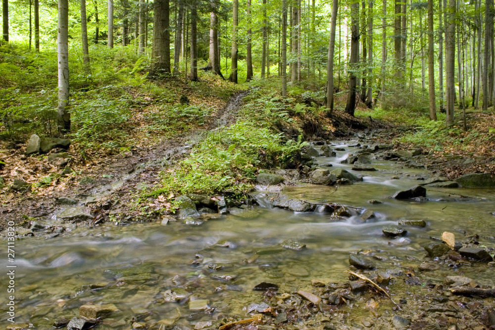 Obraz premium Potok w górach Beskidach