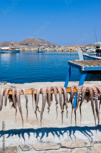 Octopuses in the sun to dry photo