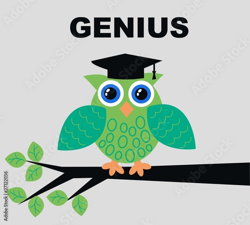 genius owl