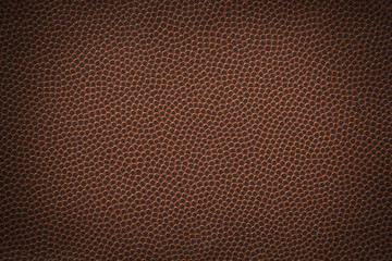 Football Texture