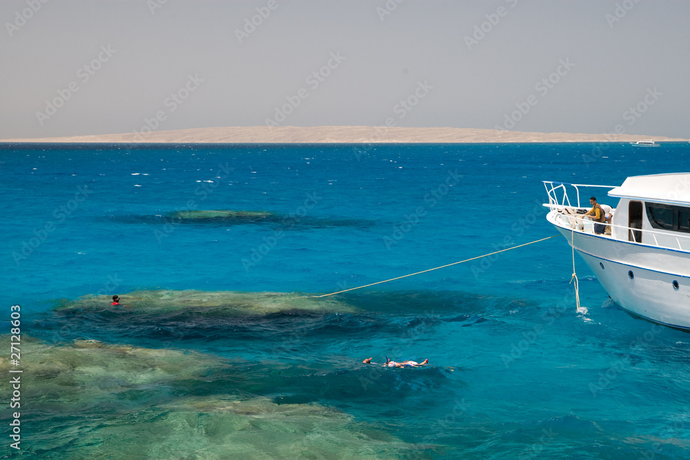 Coral Reef Red Sea Egypt Seascape