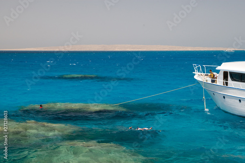 Coral Reef Red Sea Egypt Seascape © Ovidiu - Mihai Danca