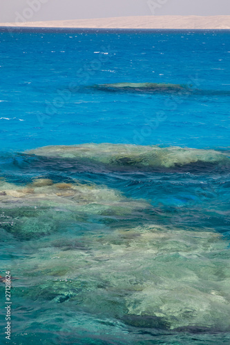 Fototapeta Naklejka Na Ścianę i Meble -  Coral Reef Red Sea Egypt Seascape