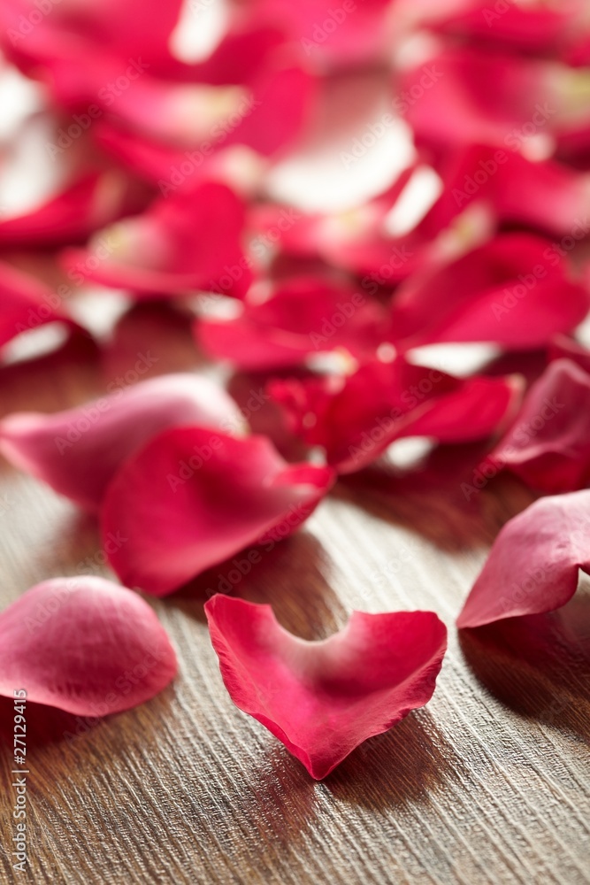 Petals of a rose