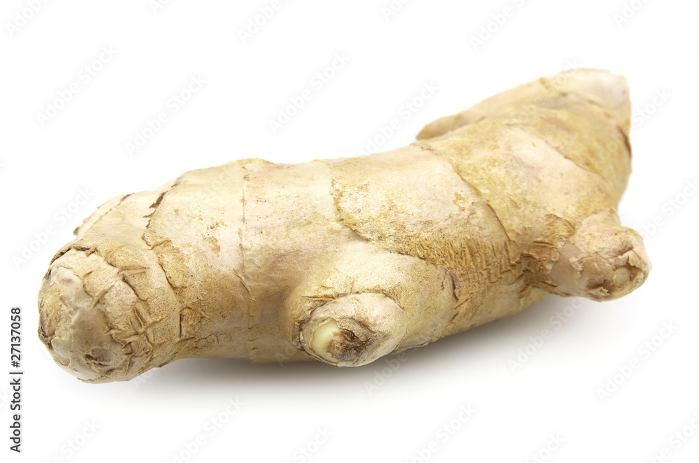 Ginger Ginger