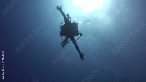 Wallpaper Mural Silhouette shot of one scuba diver spinning around Torontodigital.ca