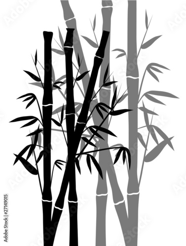 Fototapeta Naklejka Na Ścianę i Meble -  Bamboo design