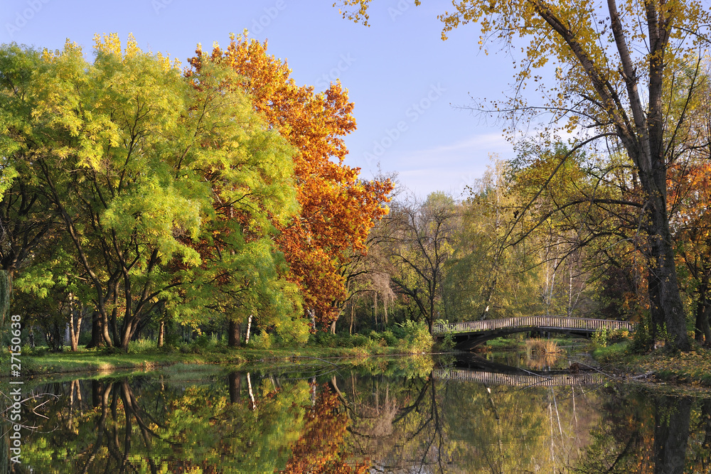 Fototapeta premium Autumn