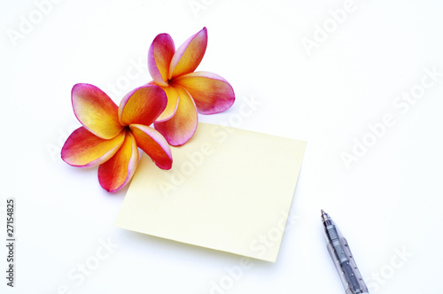 Frangipani flowers and paper,isolated on white background