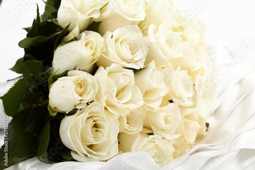 Cream roses