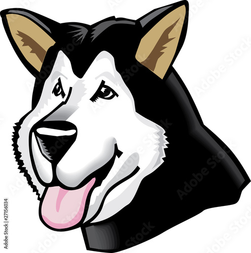 Cartoon of an Alaskan Malamute