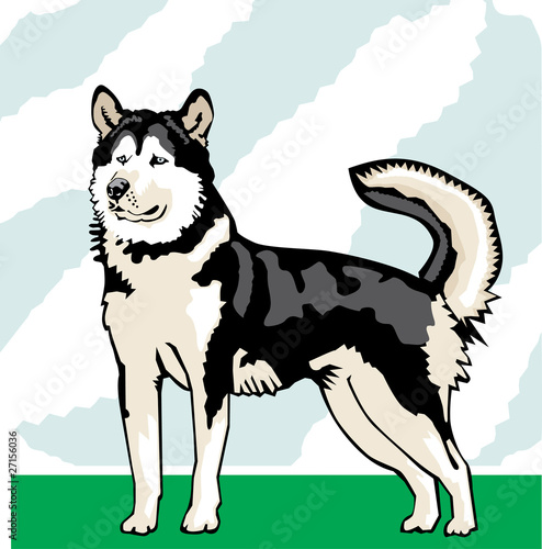 Alaskan Malamute