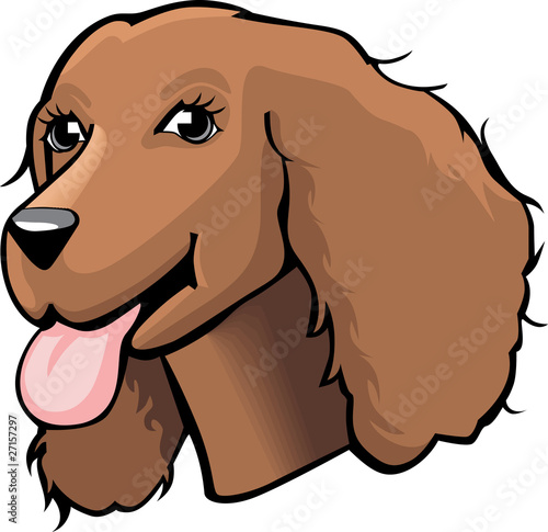 Color Cocker spaniel cartoon