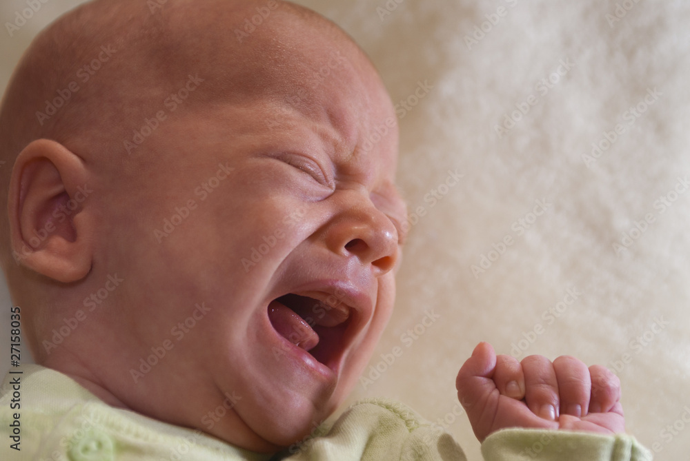 Der Schrei StockFoto Adobe Stock