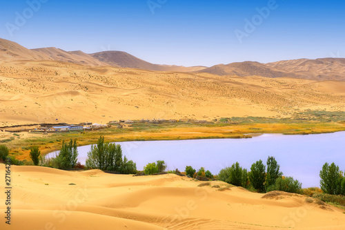 Dry plant in desert lake