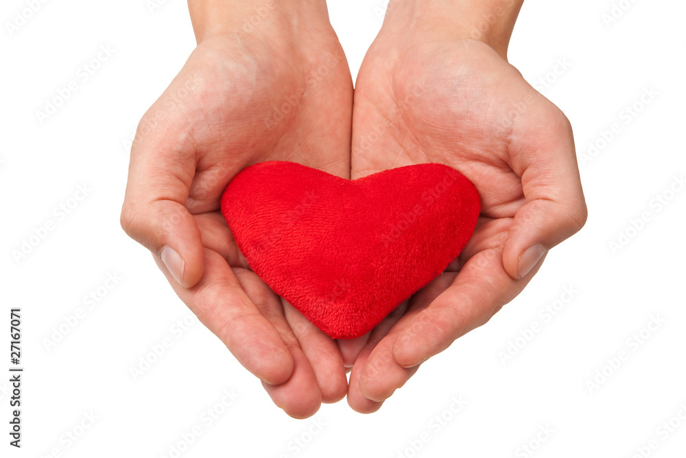 Heart in hands Heart in hands