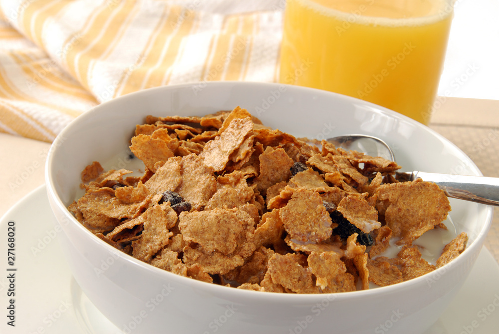 Bowl of multi-grain flakec