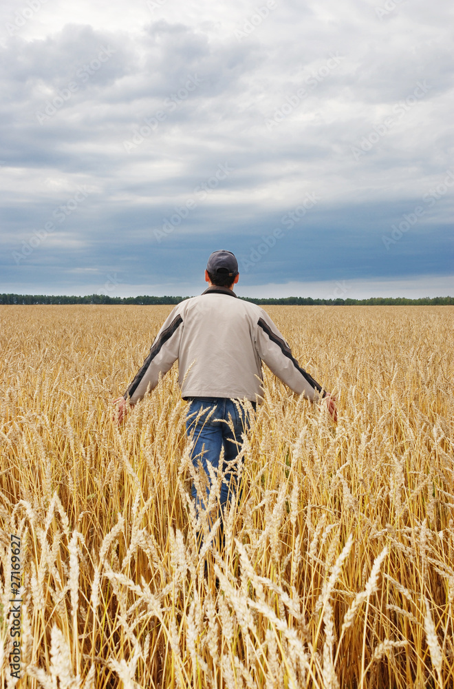 The man among a wheaten field
