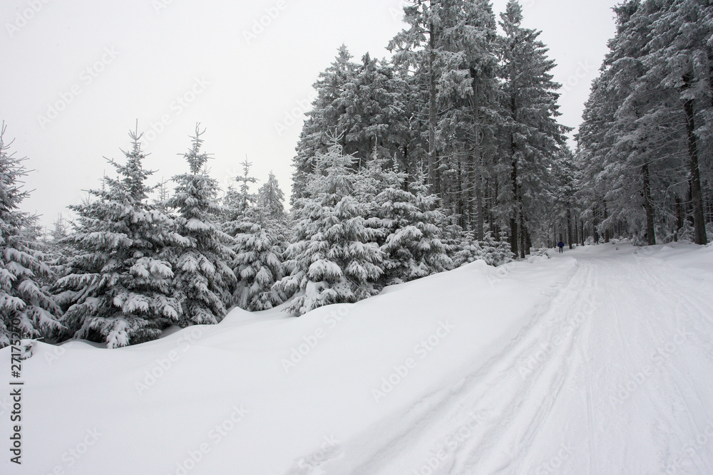 Winterlandschaft