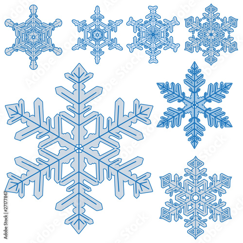 Set of realistic snowflakes