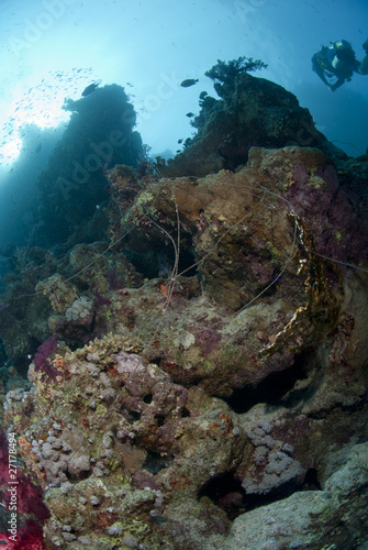 Fototapeta Naklejka Na Ścianę i Meble -  Abandoned illegal fishing lines on a healthy tropical coral reef