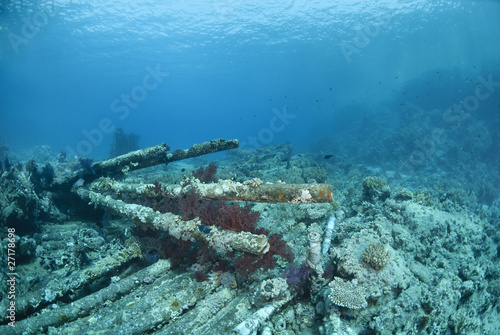 Fototapeta Wrecked remains of the container cargo of a shipwreck.