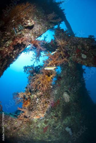 Stern and propellor of the Dunraven shipwreck, artificial reef.