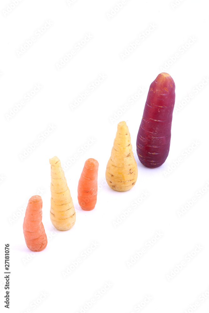 A diagonal line of organic carrots A diagonal line of organic carrots