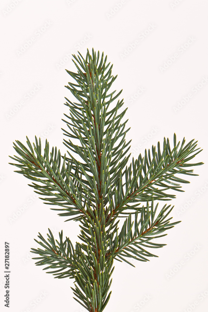 Christmas tree decoration Christmas tree decoration