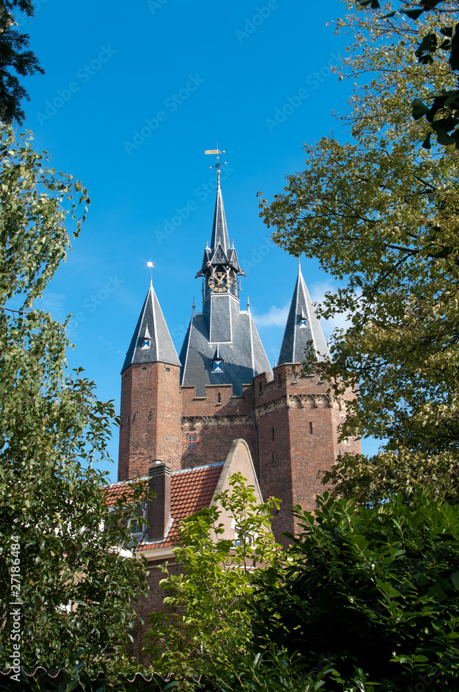 Obraz premium city defense wall