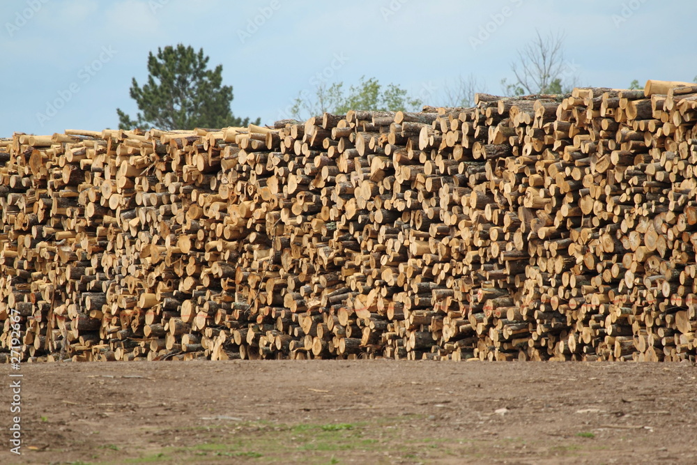 Huge stack of logs for lumber at a sawmill