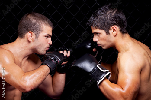 Mixed martial artists before a fight photo