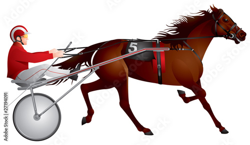 Harness racing, horse, gambling
